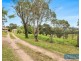 104 Hawks Head Road, Brogo NSW 2550