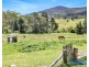 12 Gordon Street, Wyndham NSW 2550