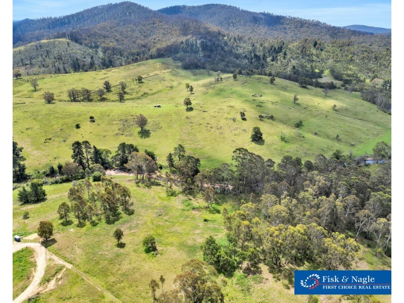 12 Gordon Street, Wyndham NSW 2550