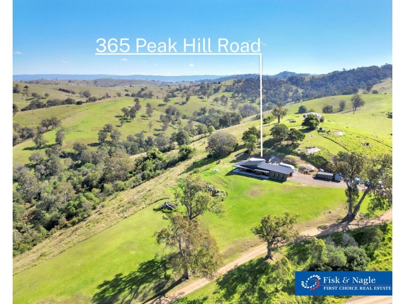 365 Peak Hill Road, Buckajo NSW 2550