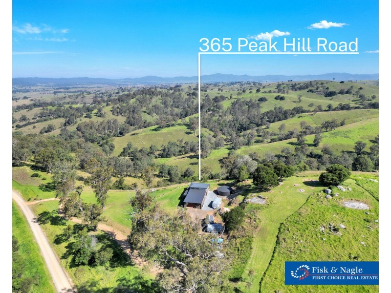 365 Peak Hill Road, Buckajo NSW 2550