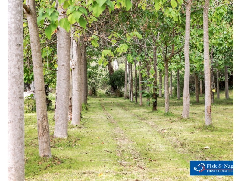 1697 Big Jack Mountain Road, Rocky Hall NSW 2550