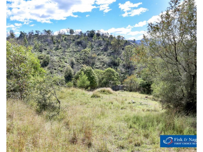 Lot 1001 Upper Brogo Road, Brogo NSW 2550