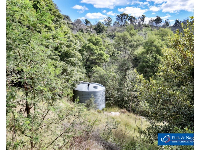 Lot 1001 Upper Brogo Road, Brogo NSW 2550