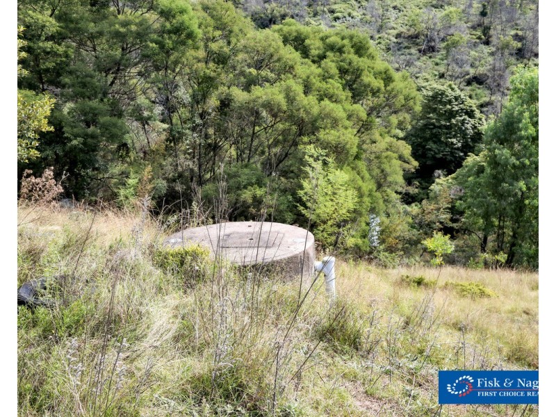 Lot 1001 Upper Brogo Road, Brogo NSW 2550