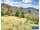 Lot 1001 Upper Brogo Road, Brogo NSW 2550