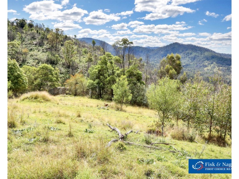 Lot 1001 Upper Brogo Road, Brogo NSW 2550