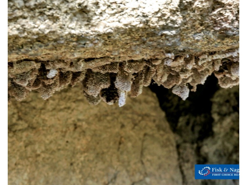 Lot 1001 Upper Brogo Road, Brogo NSW 2550