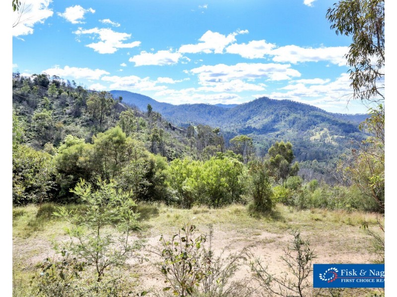 Lot 1001 Upper Brogo Road, Brogo NSW 2550