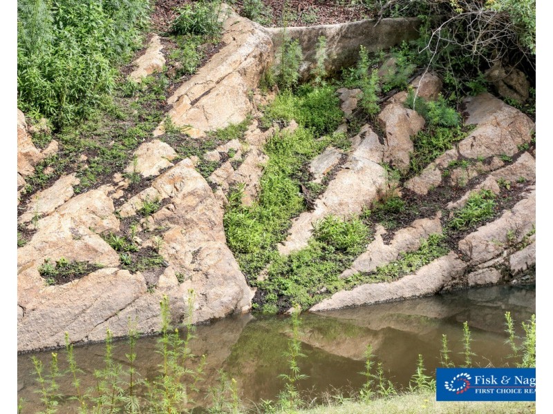 Lot 1001 Upper Brogo Road, Brogo NSW 2550