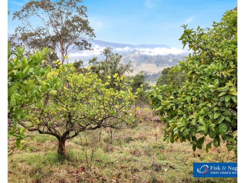 13150 Princes Highway, Brogo NSW 2550