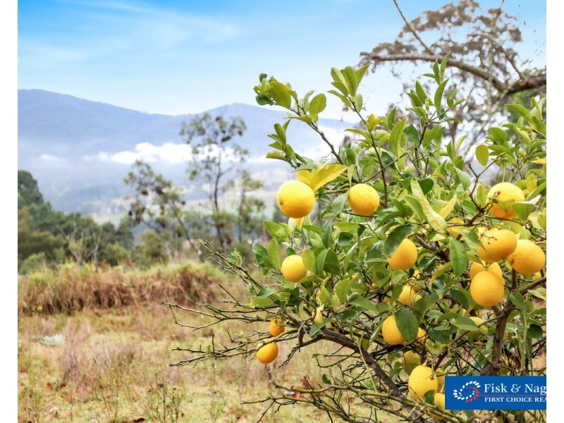 13150 Princes Highway, Brogo NSW 2550