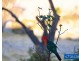 337 Gilbert Road, Verona NSW 2550