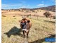 337 Gilbert Road, Verona NSW 2550