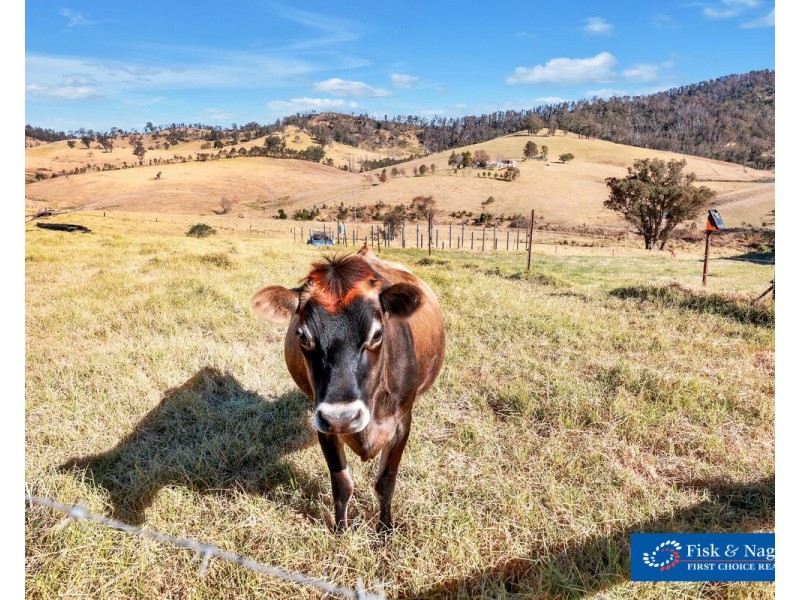 337 Gilbert Road, Verona NSW 2550