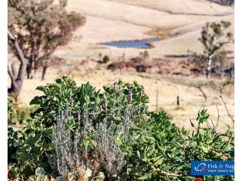 337 Gilbert Road, Verona NSW 2550