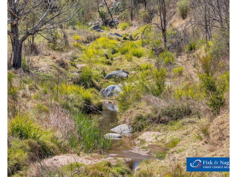 2866 Mount Darragh Road, Wyndham NSW 2550