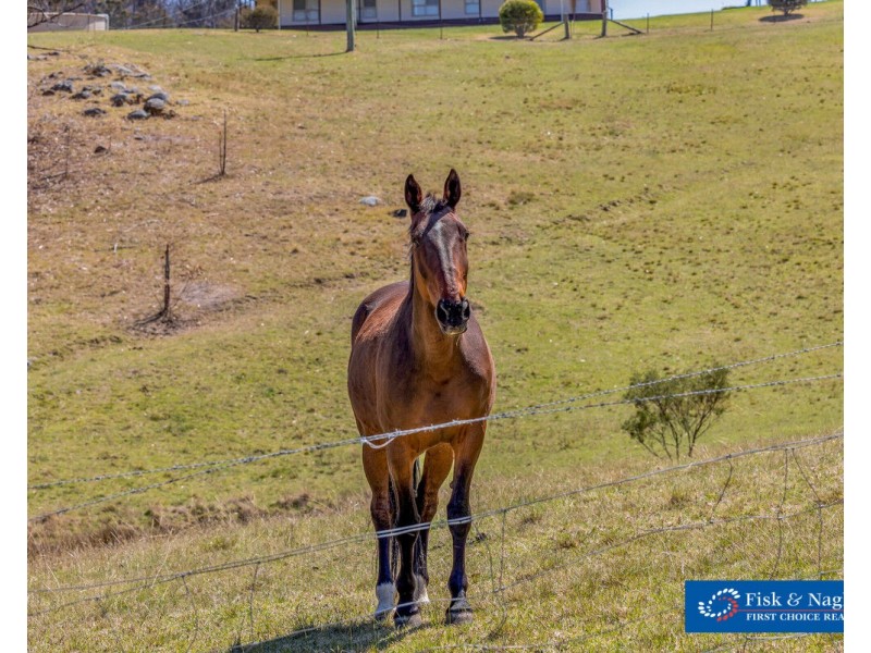 2866 Mount Darragh Road, Wyndham NSW 2550