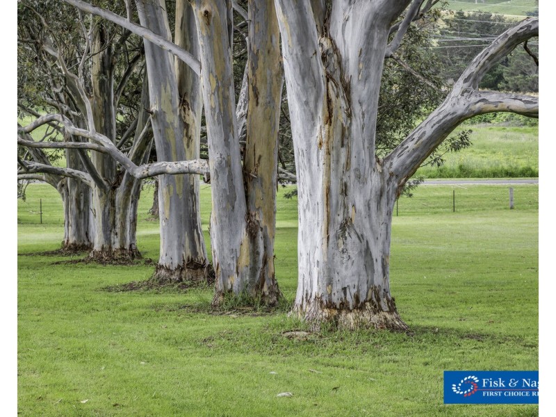2 Miners Close, Bega NSW 2550