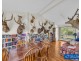 21 Sheepskin Road, Burragate NSW 2550