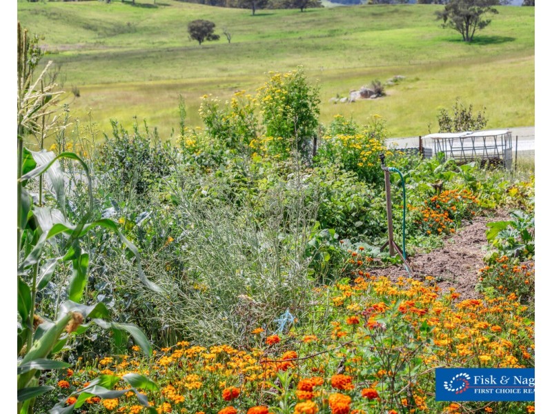 21 Sheepskin Road, Burragate NSW 2550