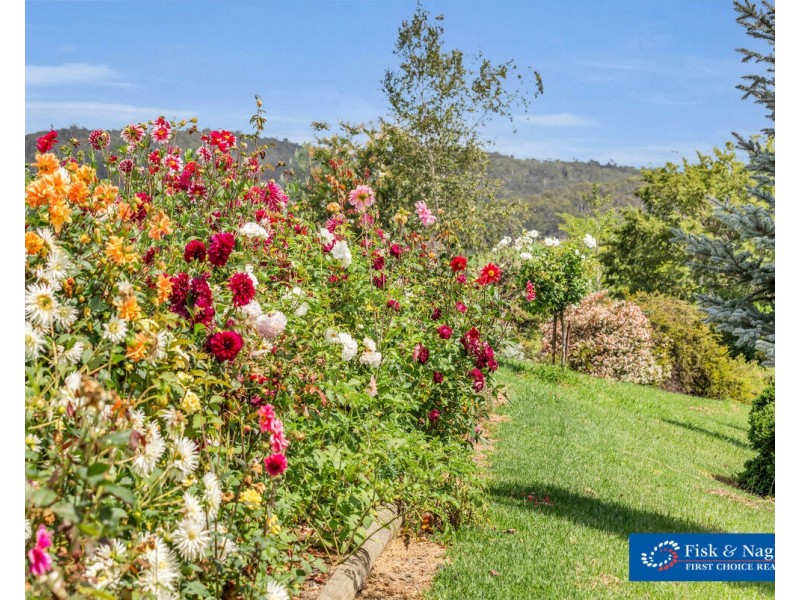 21 Sheepskin Road, Burragate NSW 2550