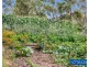 21 Sheepskin Road, Burragate NSW 2550