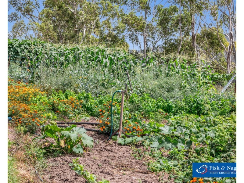 21 Sheepskin Road, Burragate NSW 2550