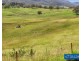 21 Sheepskin Road, Burragate NSW 2550