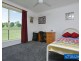 385 Towridgee Lane, Candelo NSW 2550