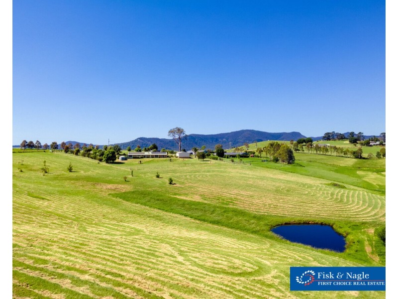 385 Towridgee Lane, Candelo NSW 2550
