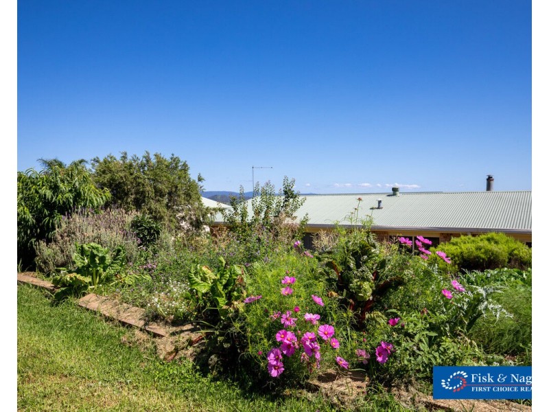385 Towridgee Lane, Candelo NSW 2550