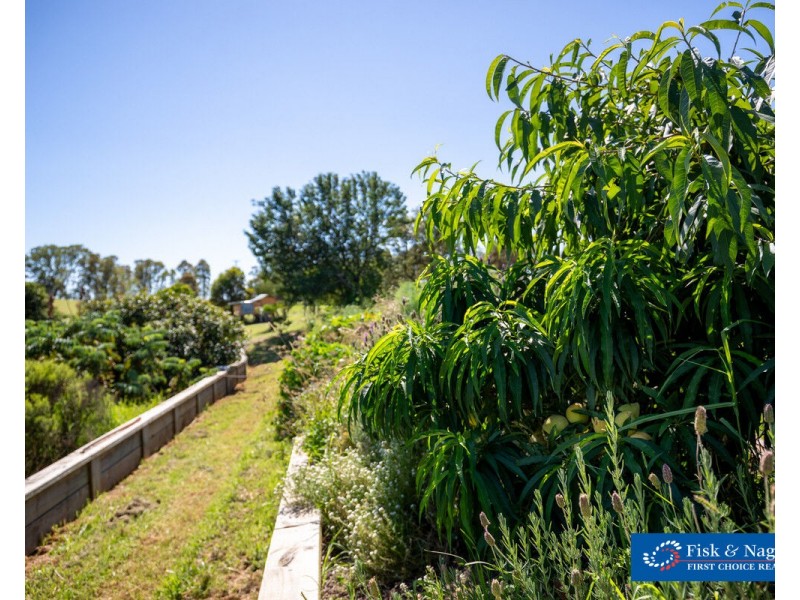 385 Towridgee Lane, Candelo NSW 2550