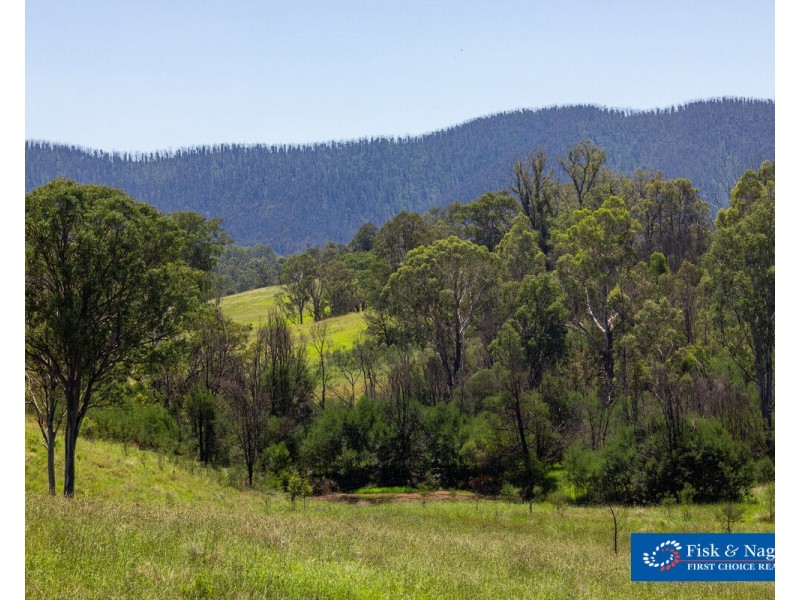 966 Wandella Road, Wandella NSW 2550