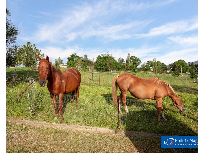 7 Broad Street, Bemboka NSW 2550