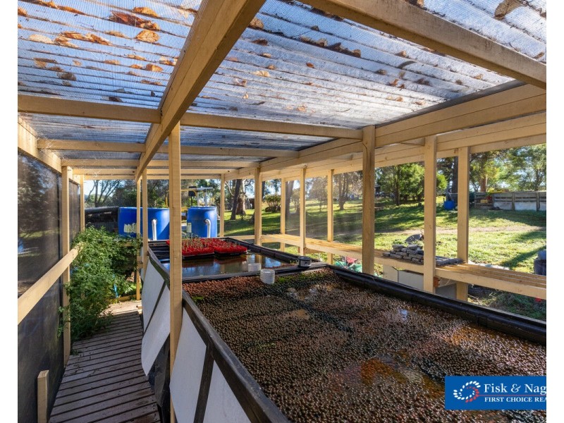 491 Candelo-Wolumla Road, Wolumla NSW 2550