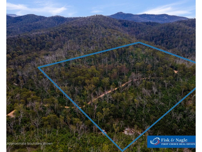 Lot 25, 570 Fulligans Road, Pericoe NSW 2550