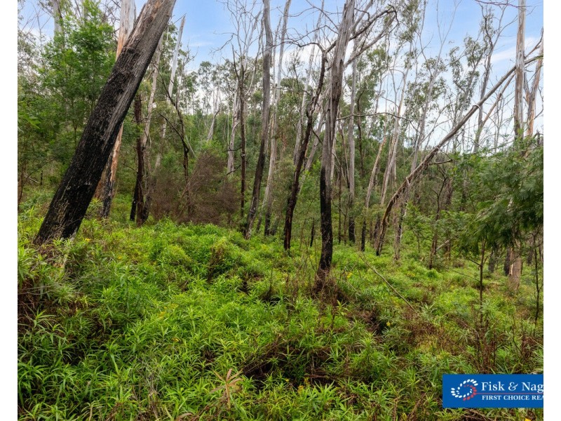 Lot 25, 570 Fulligans Road, Pericoe NSW 2550