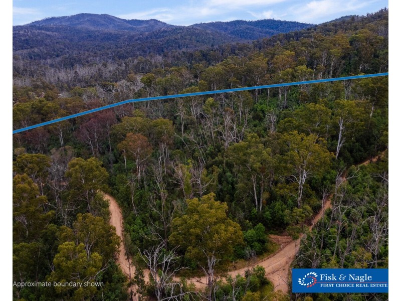 Lot 25, 570 Fulligans Road, Pericoe NSW 2550