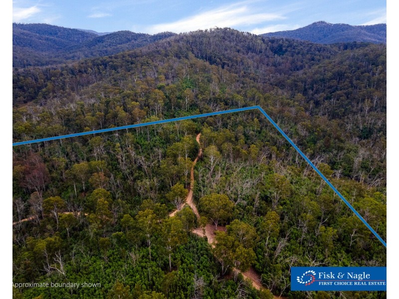 Lot 25, 570 Fulligans Road, Pericoe NSW 2550