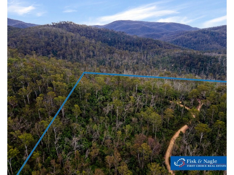 Lot 25, 570 Fulligans Road, Pericoe NSW 2550