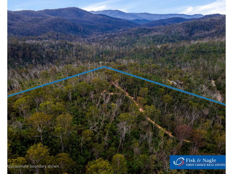 Lot 25, 570 Fulligans Road, Pericoe NSW 2550