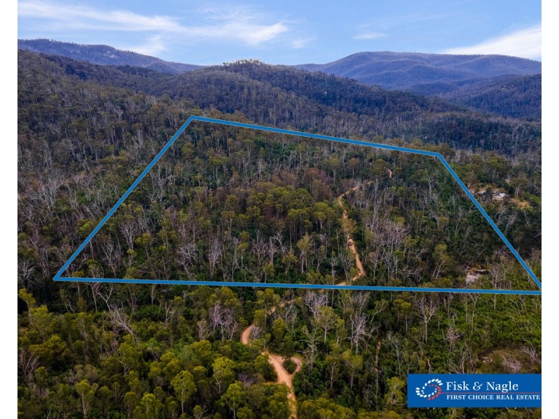 Lot 25, 570 Fulligans Road, Pericoe NSW 2550