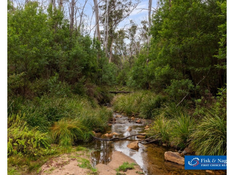 Lot 25, 570 Fulligans Road, Pericoe NSW 2550