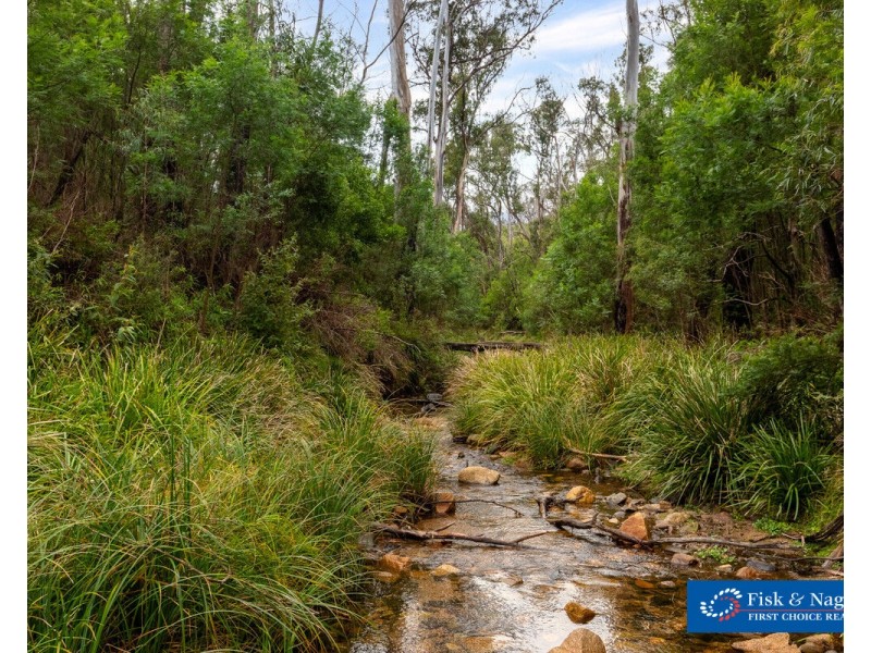 Lot 25, 570 Fulligans Road, Pericoe NSW 2550