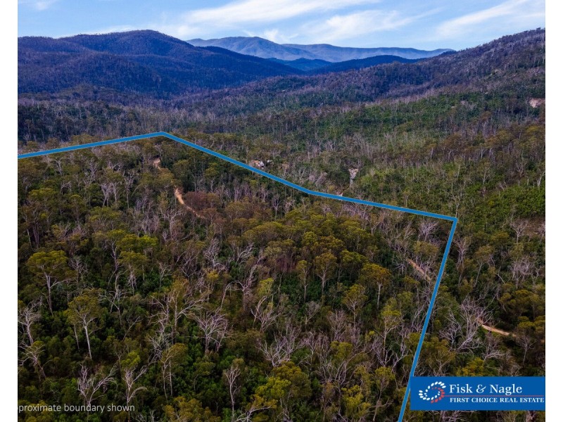 Lot 25, 570 Fulligans Road, Pericoe NSW 2550