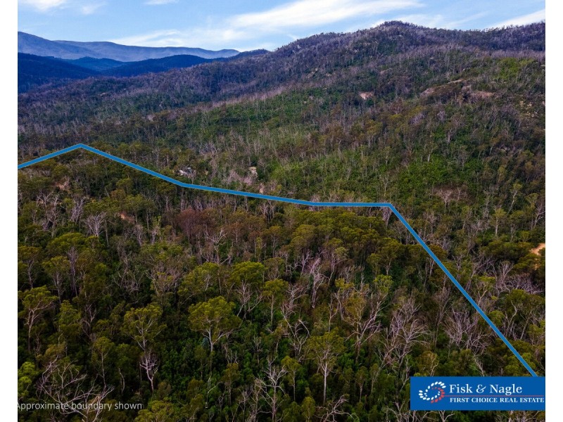 Lot 25, 570 Fulligans Road, Pericoe NSW 2550