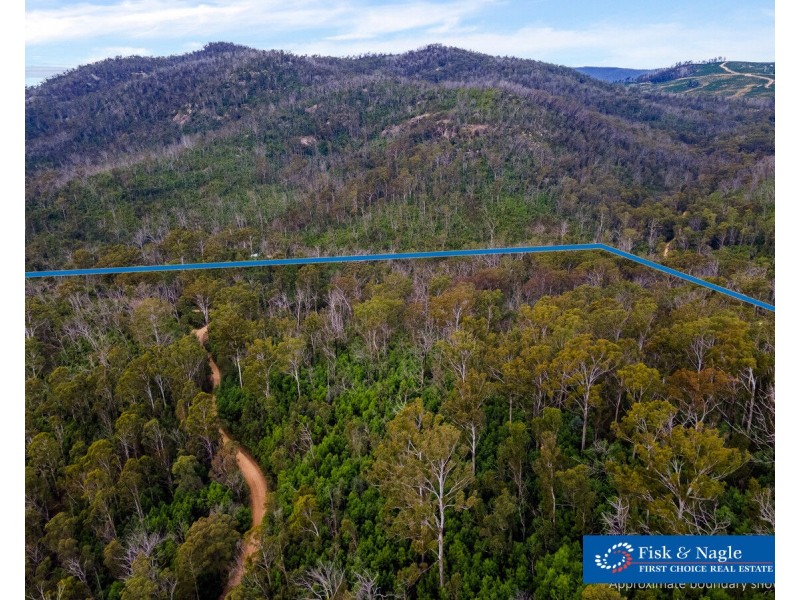 Lot 25, 570 Fulligans Road, Pericoe NSW 2550