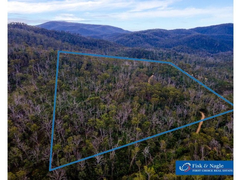 Lot 25, 570 Fulligans Road, Pericoe NSW 2550