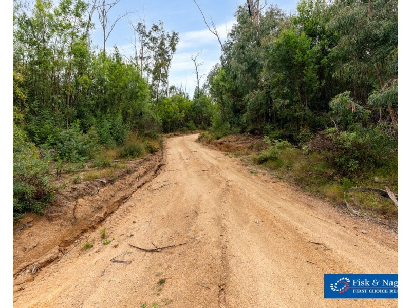 Lot 25, 570 Fulligans Road, Pericoe NSW 2550